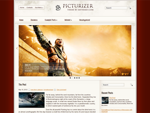 Picturizer Free WordPress Theme