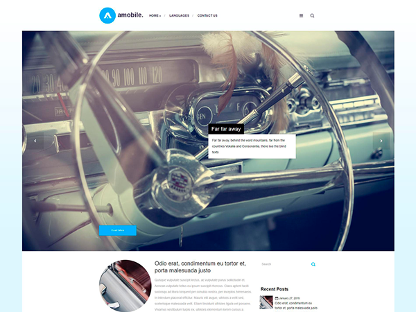 AMobile WordPress Theme