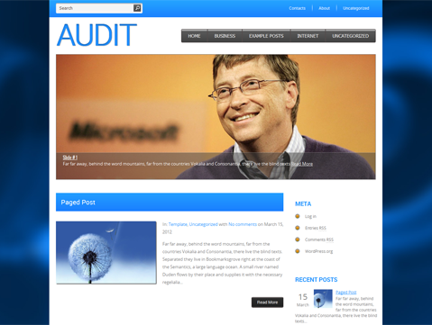 Audit Free WordPress Theme