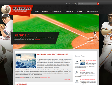 Baseball Free WordPress Theme