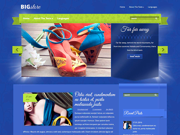 BigStore Free WordPress Theme