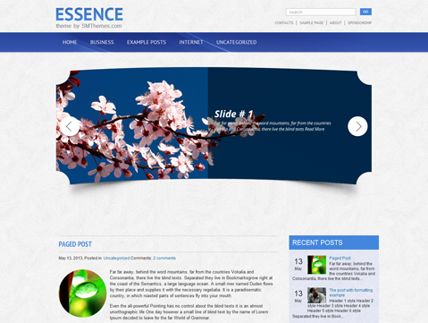 Essence WordPress Theme