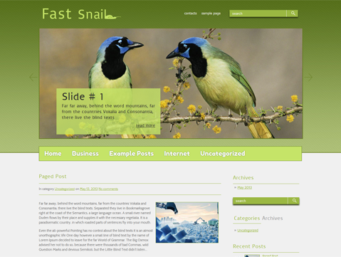FastSnail Free WordPress Theme