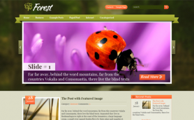 Forest Free WordPress Theme
