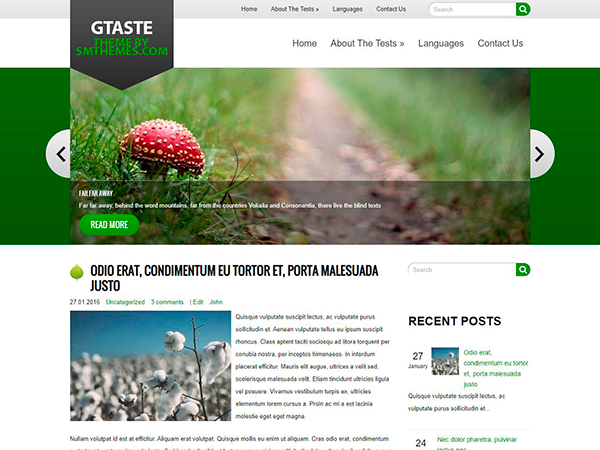 GTaste Free WordPress Theme