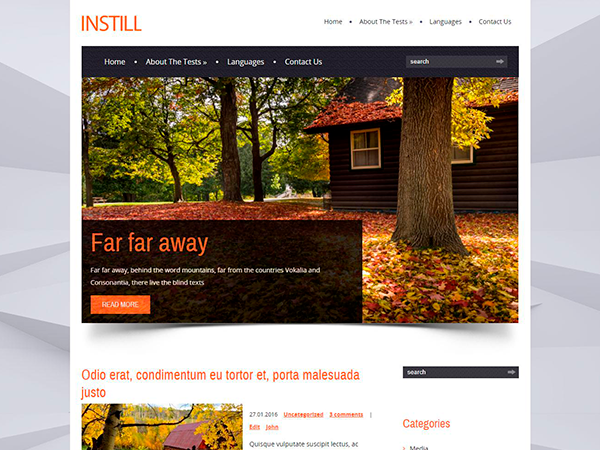 InStill Free WordPress Theme