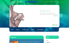Paramedic Free WordPress Theme