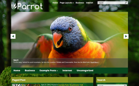 Parrot Free WordPress Theme