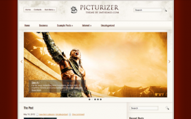 Picturizer Free WordPress Theme