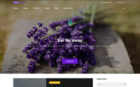 WordPress Themes