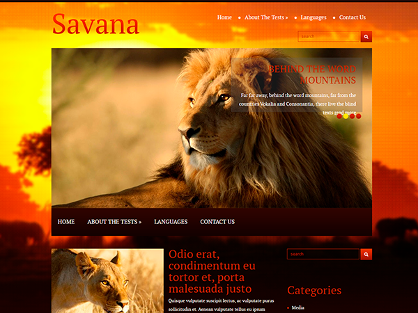 Savana WordPress Theme
