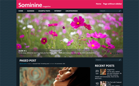 Sominine Free WordPress Theme